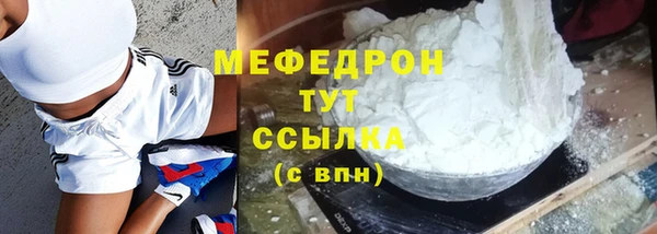 хмурый Аркадак