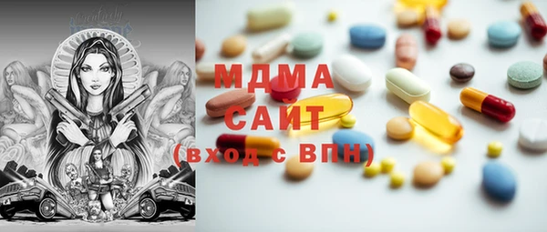 хмурый Аркадак