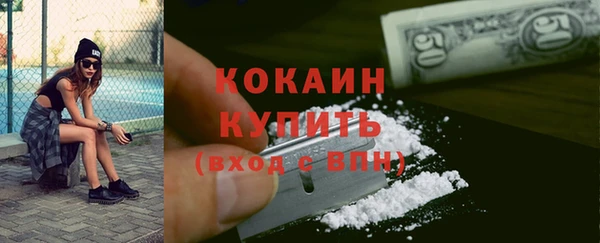 дживик Арсеньев