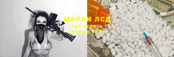 хмурый Аркадак