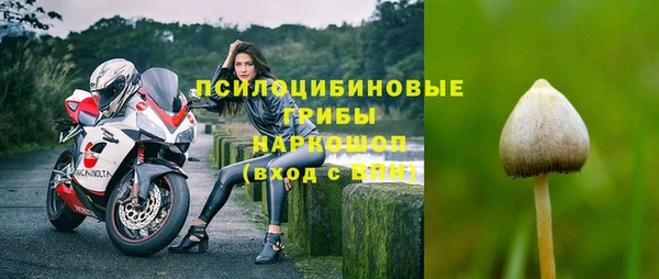 PSILOCYBIN Новодвинск