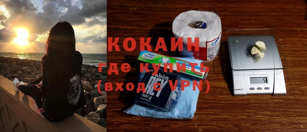хмурый Аркадак