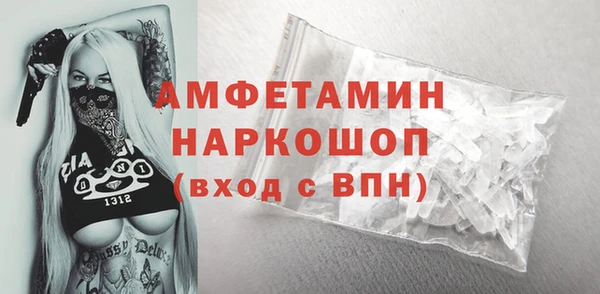 хмурый Аркадак