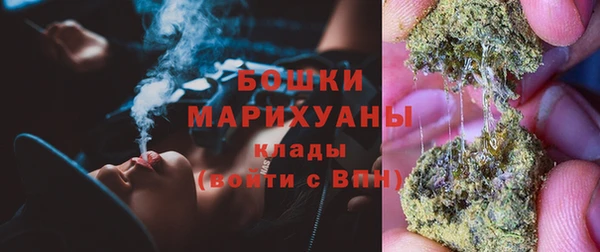 хмурый Аркадак