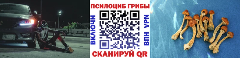 Псилоцибиновые грибы прущие грибы  где продают   Калининец 